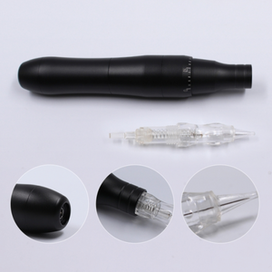 PMU Pen 6